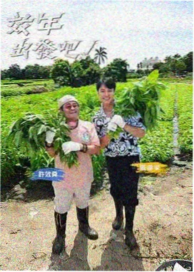 花容月貌完整版观众口碑观察配图